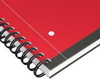 Notitieboek Oxford International dsp 4r. A4 ruit 5mm-2