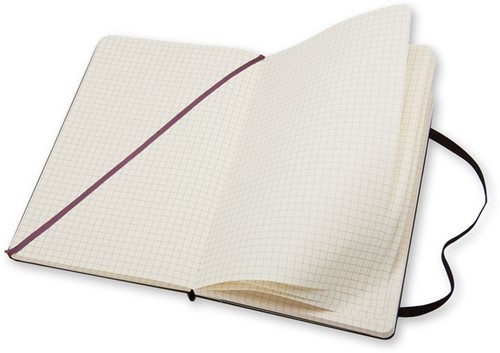 Notitieboek Moleskine ruit large 130x210mm-3