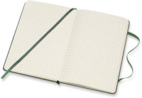 Notitieboek Moleskine XL 190x250mm lijn myrtle green-3