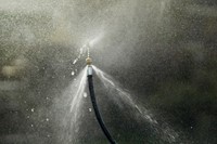 Rioolslang voor Nilfisk hogedrukreiniger-2