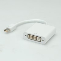 Adapter mini DisplayPort male naar DVI-I female-2