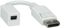 Adapter DisplayPort male naar mini DisplayPort female