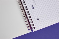 Collegeblok Clairefontaine Studium A5+ 6-gaats 80blz ruit 5x5mm assorti-2