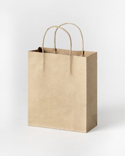 Papieren zakjes met handvat 125g/m² 18x21x8cm kraft naturel set à 20 stuks-2