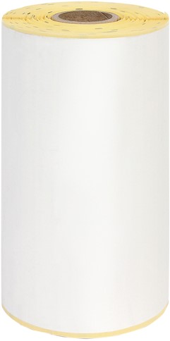 Etiket thermisch 102x150mm kern:19mm 3005281-T rol/110