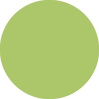 Viltstift STABILO Pen 68/34 pistache-3