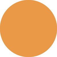 Fineliner STABILO point 88/85 papaya-3