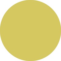 Fineliner STABILO point 88/67 mosterd-3