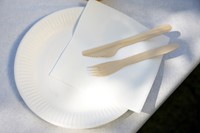 Vork 160mm hout pk/100-3