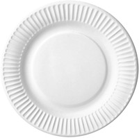 Bord 180mm karton wit pak/100