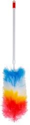 Cleaninq plumeau