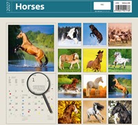 Kalender 2027 Helma 365 30x30cm paarden 1 Stuk-2