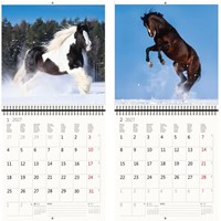 Kalender 2027 Helma 365 30x30cm paarden 1 Stuk-3