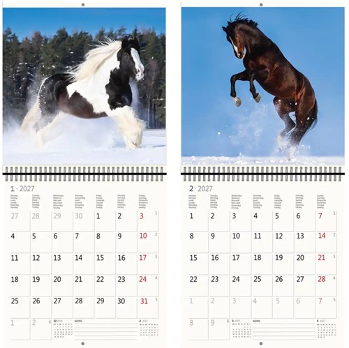 Kalender 2027 Helma 365 30x30cm paarden 1 Stuk-3