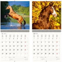 Kalender 2027 Helma 365 30x30cm paarden 1 Stuk-1