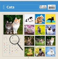 Kalender 2026 Helma 365 30x30cm katten 1 Stuk-2