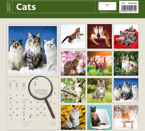 Kalender 2027 Helma 365 30x30cm katten 1 Stuk-2
