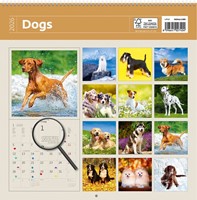 Kalender 2026 Helma 365 30x30cm honden 1 Stuk-2