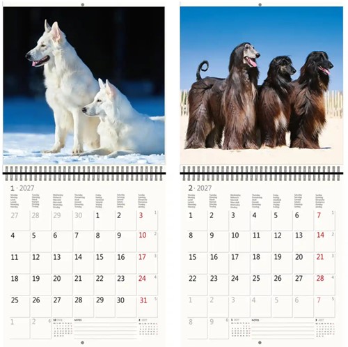 Kalender 2027 Helma 365 30x30cm honden 1 Stuk-3