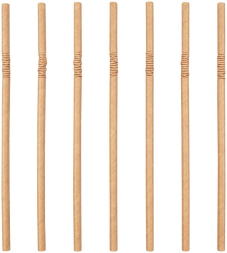 Buigrietje IEZZY karton 6x240mm 100p fair 200st bruin