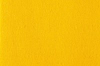 Crepepapier Folia 250x50cm NR106 geel-2