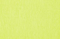 Crepepapier Folia 250x50cm NR145 lichtgroen-2