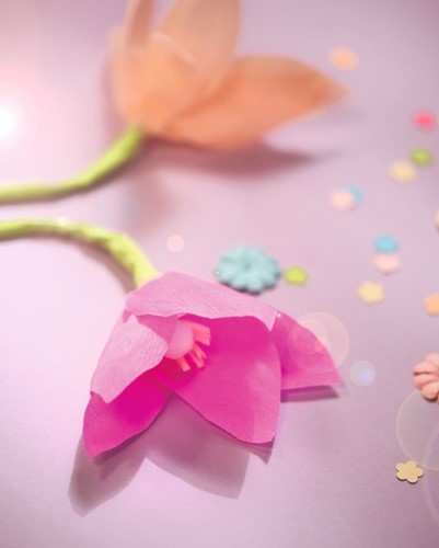 Crepepapier Folia 250x50cm NR154 cyclaam-3