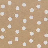 Inpakpapier Special Wrap  200x70cm kraft assorti-3