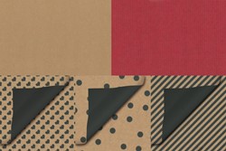 Cadeauzak Special Wrap kraft 12x19cm  assorti