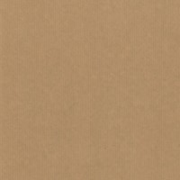 Cadeauzak Special Wrap kraft 12x19cm  assorti-2