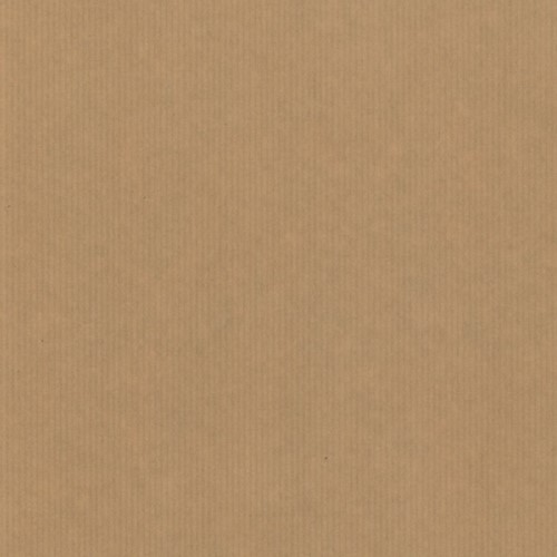 Cadeauzak Special Wrap kraft 12x19cm  assorti-2