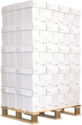 Daily paper kopieer- en printpapier