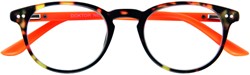 Leesbril I Need You Dokter New +1.00 dpt bruin - oranje