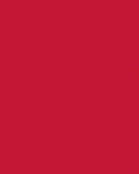 Etalagekarton Folia 48x68cm 380gr NR211 rood