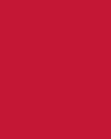 Etalagekarton Folia 48x68cm 380gr NR211 rood