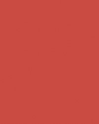 Etalagekarton Folia 48x68cm 380gr NR929 fluor rood