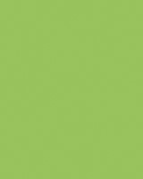 Etalagekarton Folia 48x68cm 380gr NR941 fluor groen