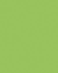Etalagekarton Folia 48x68cm 380gr NR941 fluor groen