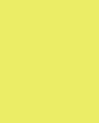 Etalagekarton Folia 48x68cm 380gr NR911 fluor geel
