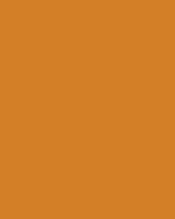 Etalagekarton Folia 48x68cm 380gr NR915 fluor oranje