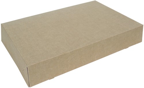 Cateringdoos IEZZY 46cm plasticvrij bruin pk/10
