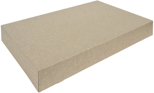 Cateringdoos IEZZY 55cm plasticvrij bruin pk/10
