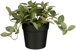 Kunstplant Mica Tradescantia in pot 16cm