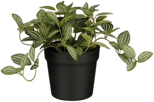 Kunstplant Mica Tradescantia in pot 16cm