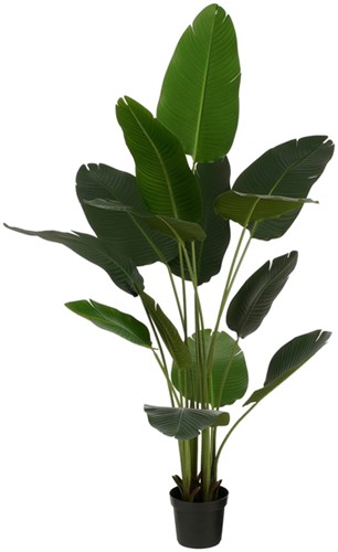 Kunstplant Mica Bananen boom in plastic pot 180cm