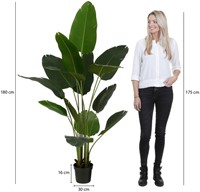 Kunstplant Mica Bananen boom in plastic pot 180cm-3