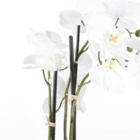 Kunstplant Mica Phalaenopsis orchideeën wit in plastic pot 79cm-2