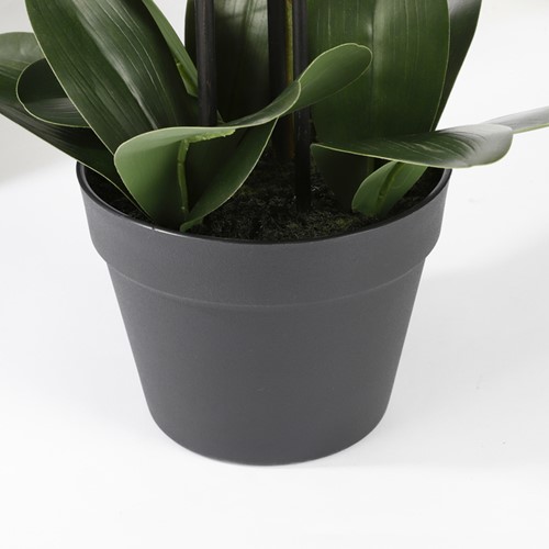 Kunstplant Mica Phalaenopsis orchideeën wit in plastic pot 79cm-3
