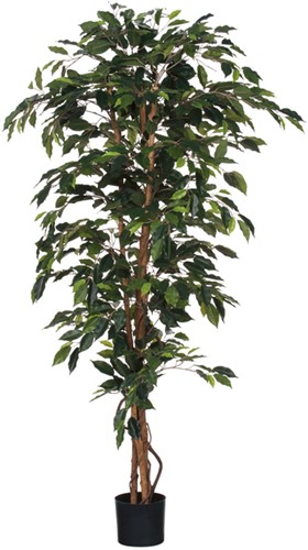 Kunstplant Mica Ficus in plastic pot 180cm