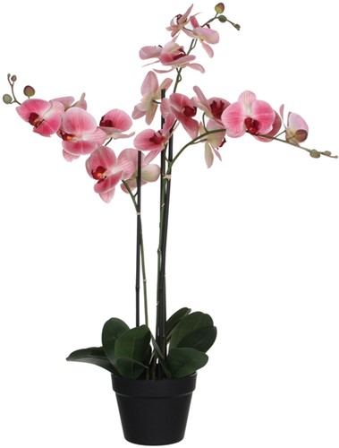 Kunstplant Mica Phalaenopsis orchideeën roze in plastic pot 79cm
